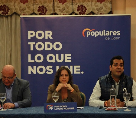 Campaña electoral 10N