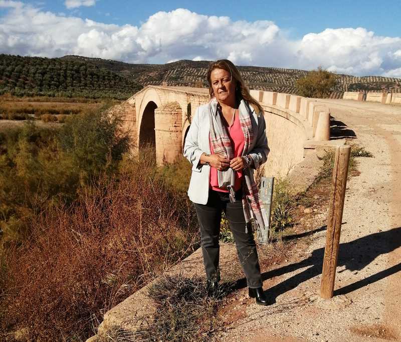 El PP saca adelante la PNL para exigir al gobierno de España que declare BIC el Puente Ariza y retome el proyecto para su restauración y traslado