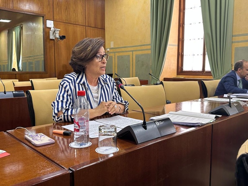 El PP de Jaén defiende “las múltiples medidas” tomadas para mejorar la sanidad pública andaluza, “pisoteada durante años por el gobierno socialista y cuya nula planificación todavía padecemos” 