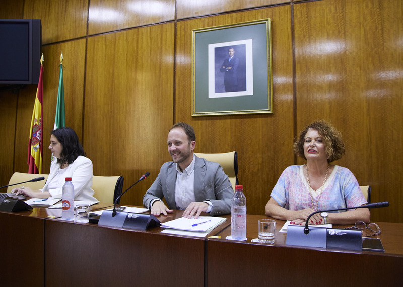 Domínguez toma posesión como presidente de la Comisión de Presidencia 