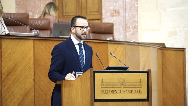 El PP defiende la apuesta del Gobierno andaluz por el profesorado de la UJA y del resto de las universidades públicas de Andalucía