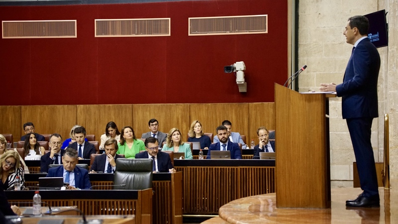 Domínguez defiende la actuación de Juanma Moreno en el Parlamento, “dando la cara ante los andaluces y explicando todo lo que está haciendo por el interés general”