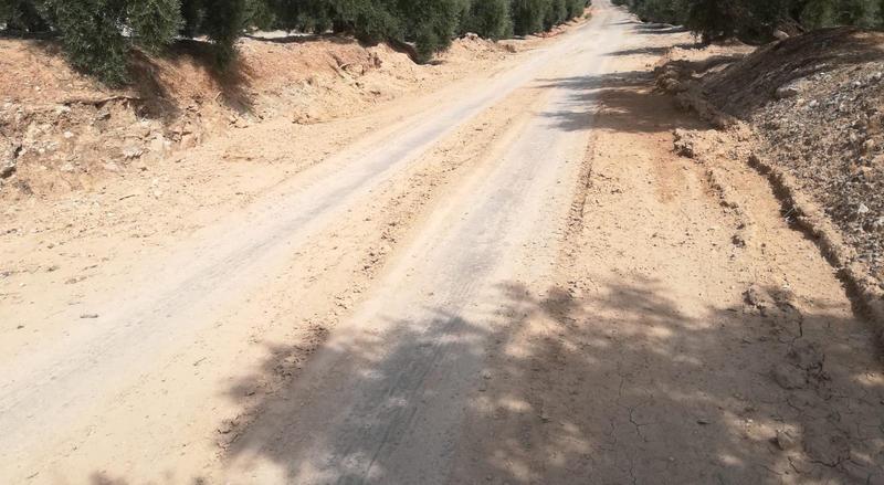 El PP solicita que Diputación actúe en las carreteras provinciales tras las tormentas de estas semanas 