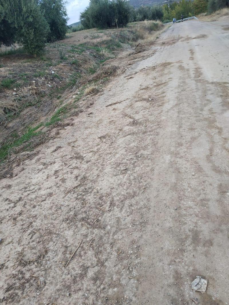 El PP solicita que Diputación actúe en las carreteras provinciales tras las tormentas de estas semanas 