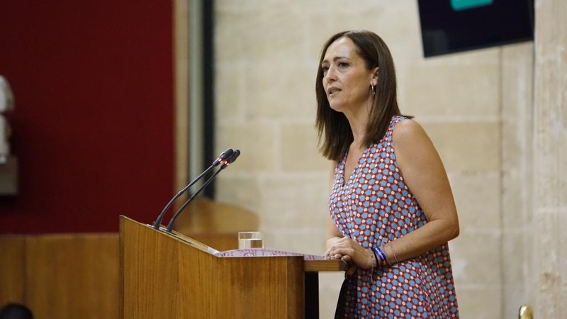 Lozano resalta la mejora general de las carreteras de la Junta en Jaén y expone la hipocresía del PSOE con las autovías “tras no hacer nada en 40 años”